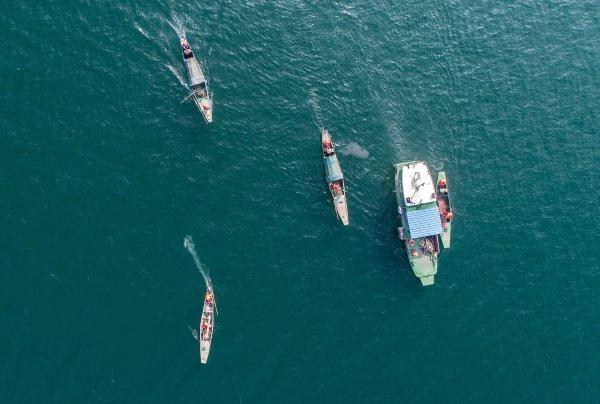 湖庫地區(qū)如何保護生態(tài) 淳安經驗成為全國典型